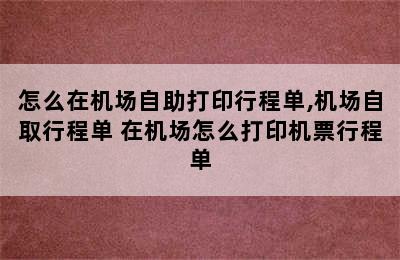 怎么在机场自助打印行程单,机场自取行程单 在机场怎么打印机票行程单